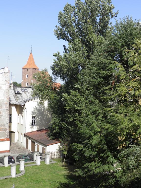 Apartment Swietego Tomasza Krasków Εξωτερικό φωτογραφία